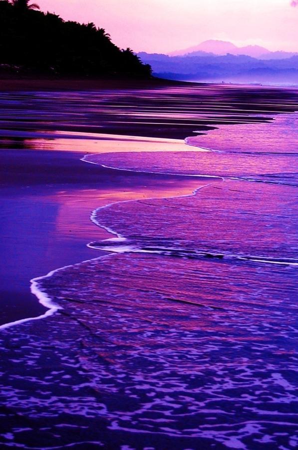 Zancudo Cabinas Sol Y Mar מראה חיצוני תמונה